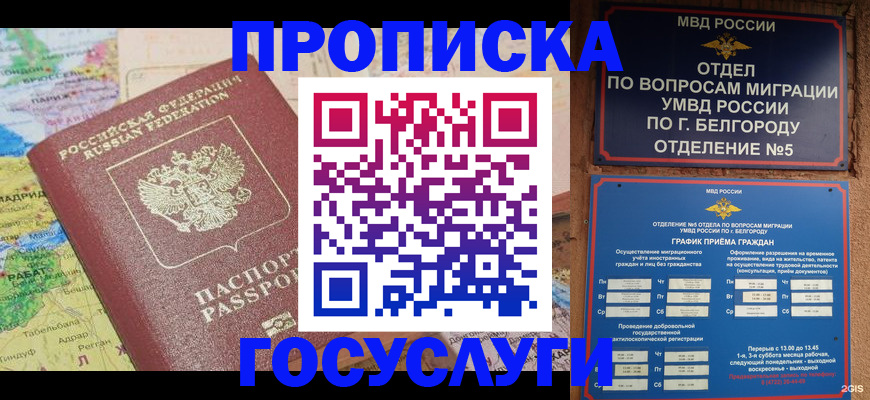 прописка регистрация в Новомосковске